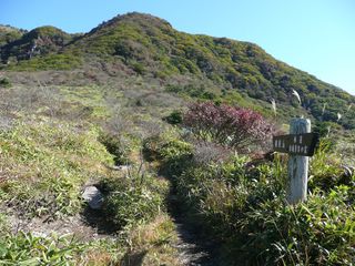 高み迄登ります