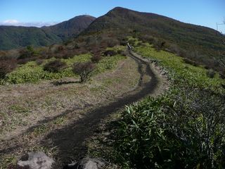 快適なランニングトレイル