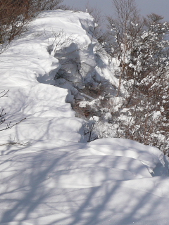 雪尾