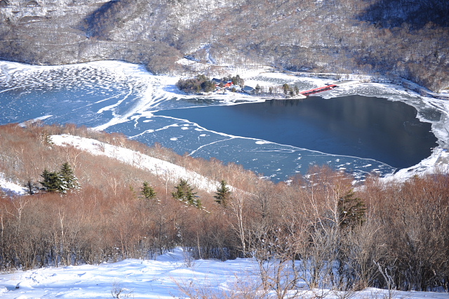 小沼、大沼の氷2.jpg