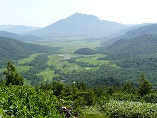 森林限界上の景色