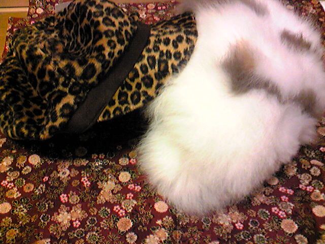 SBSH0006.JPG