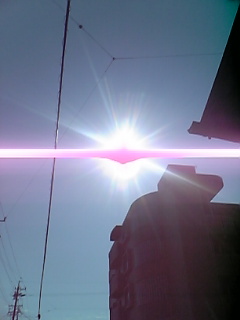 ビルの陰の太陽.jpg