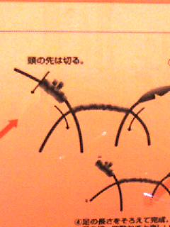 里山で遊ぶ８