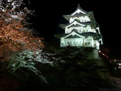 046 天守閣と桜 1