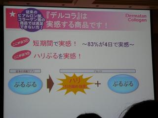 デルマタン説明４.JPG