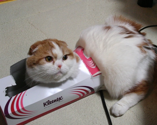 苦しくないですか？