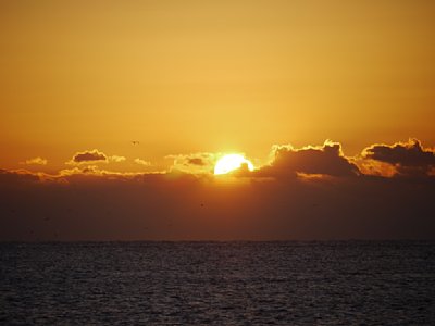 08そろそろまぶしい