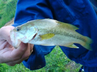 20080527212147.jpg