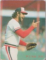 アニマル(楽天)