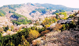 奈良　吉野山