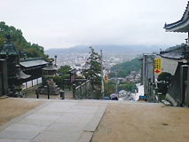 金比羅山の中腹？