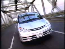 ビビラの車（マイアミ版）