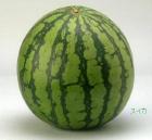 スイカ！(アメリカ産)