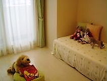 ドクターのアパート