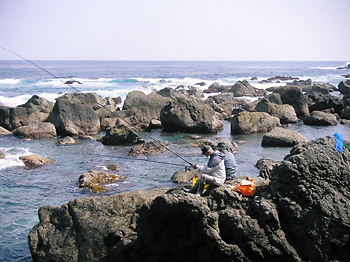 室戸岬の磯釣 海岸の岩から釣る事 室戸荘ブログ 楽天ブログ