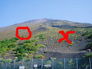 敗者復活戦の場