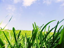 顔を上げたＶＢ