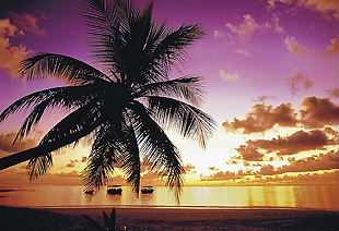 マイアミビーチ