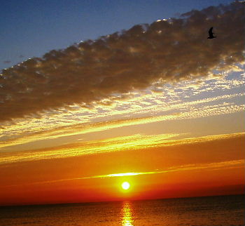 キレイな日の出