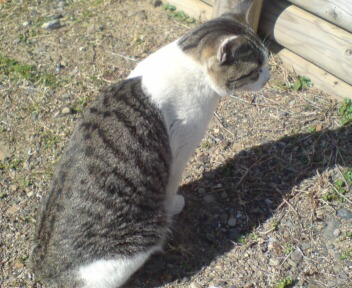 哀れよの～・・。