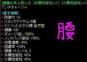 Ｌｖ６２０時の腰.JPG