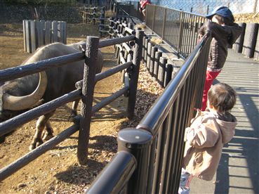 IMG_8047_R.jpg
