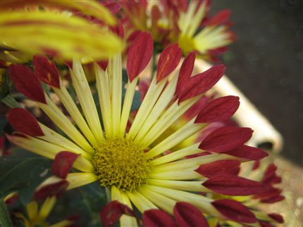 IMG_7414_R.jpg