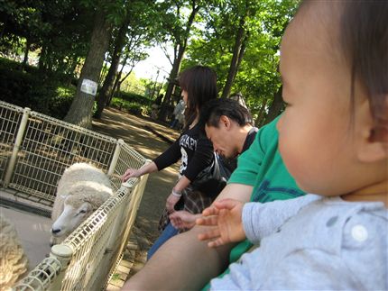 IMG_5674_R.jpg