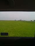 IMG_2262.jpg