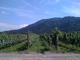 IMG_2158.jpg