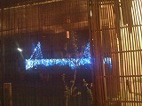 IMG_2550.jpg