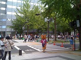 IMG_2874.jpg