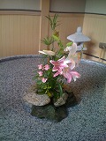IMG_3351.jpg