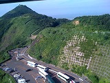 IMG_2214.jpg