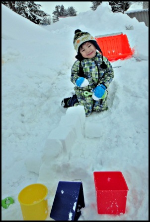 ぺい　雪ﾌﾞﾛｯｸで遊ぶ。.JPG