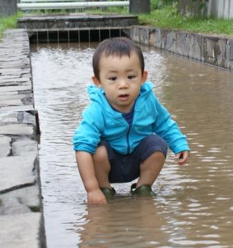 ぺい　水遊び.jpg