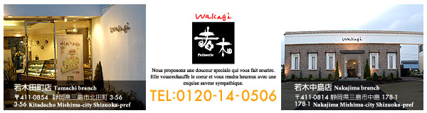 wakagi