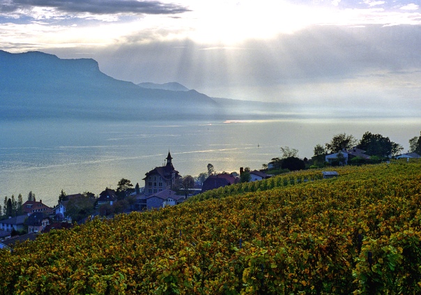  0910=Lavaux, Geneva Lake.jpg