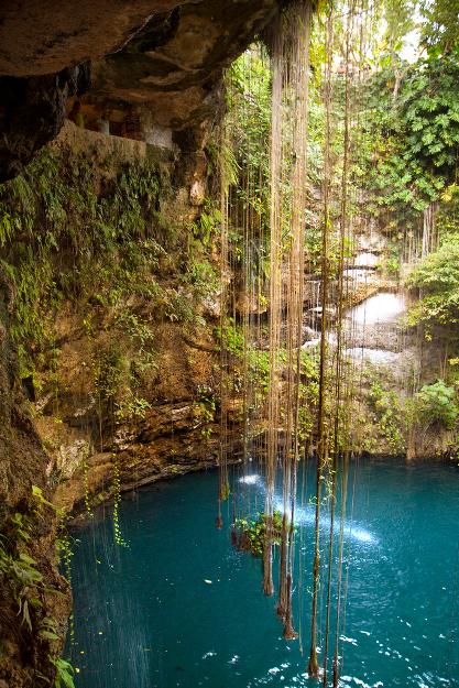 1130 cenote11 .jpg