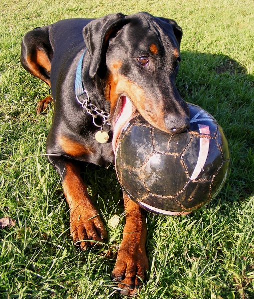  0719-it's mine now 001.jpg