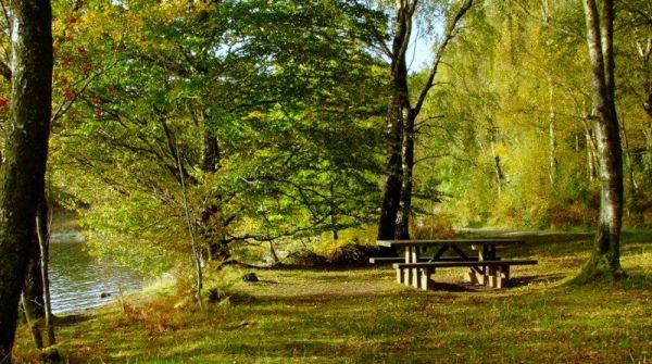 +0916 Autumn picnic bench.jpg