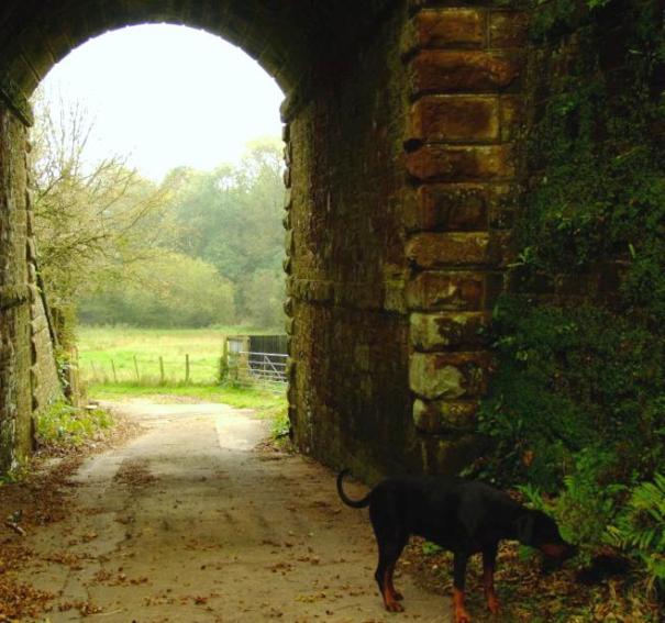 +1013 Bella through the bridge.jpg