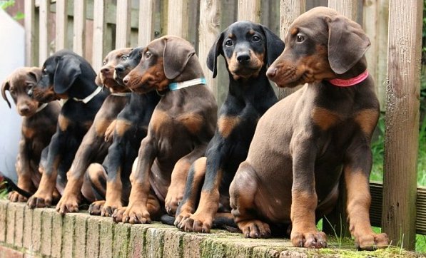  0=Bella's nephews and nieces.jpg
