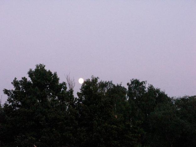 0623 the moon was wachting.jpg