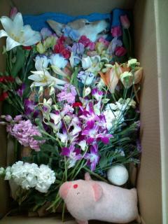 マイロ　２０１０・１２・１９