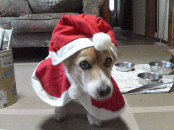 メリークリスマス