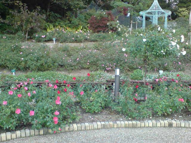 2009-10-19 14:27:40