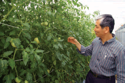 現地で野菜を見る鈴木さん