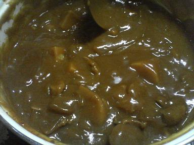 カレー100801